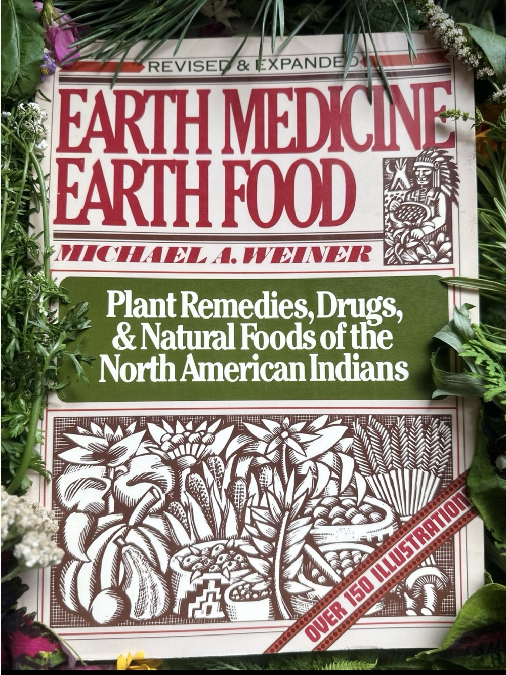 Earth Medicine, Earth Food Plant Remedies, Drugs, & Natural Foods of the North
